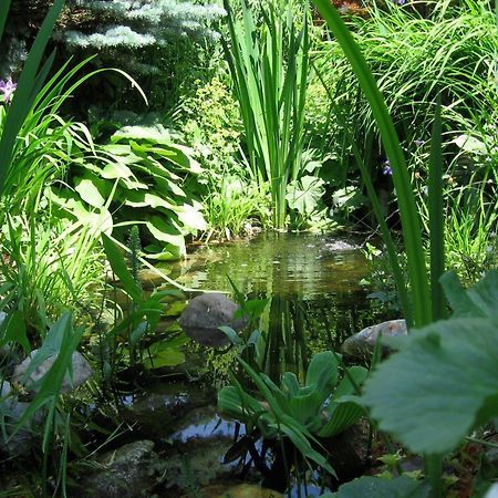 Naturkraeuterhaus Eder Iselsberg Zewnętrze zdjęcie