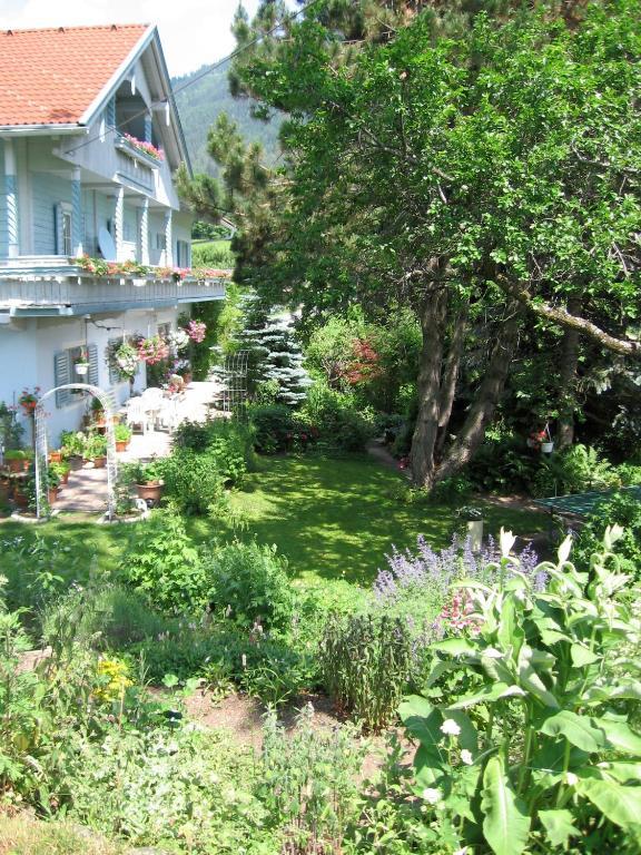 Naturkraeuterhaus Eder Iselsberg Zewnętrze zdjęcie